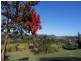 Yungaburra QLD 4884