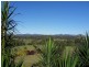 Yungaburra QLD 4884
