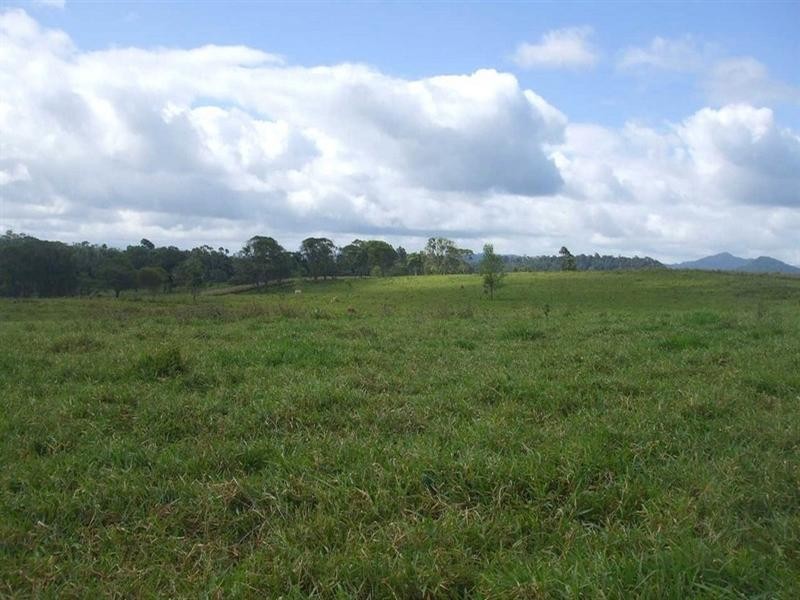 Lake Eacham QLD 4884