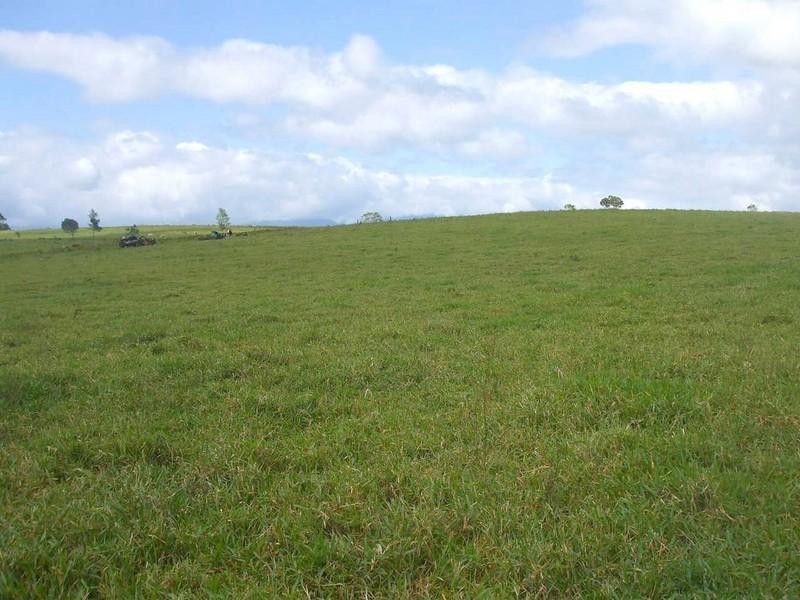 Lake Eacham QLD 4884