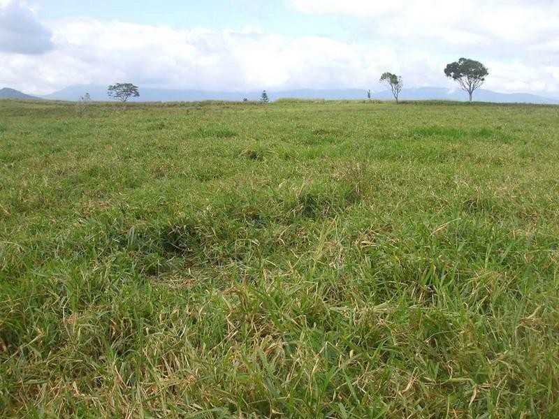 Lake Eacham QLD 4884