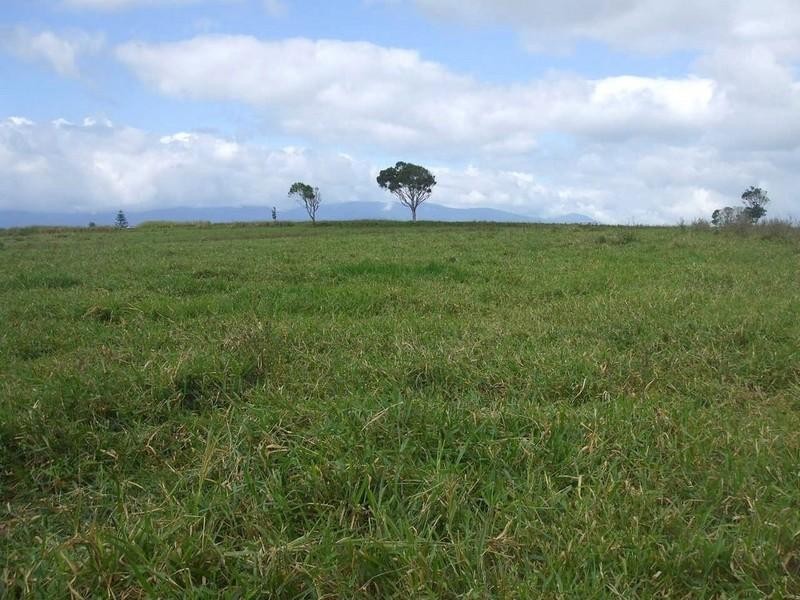 Lake Eacham QLD 4884