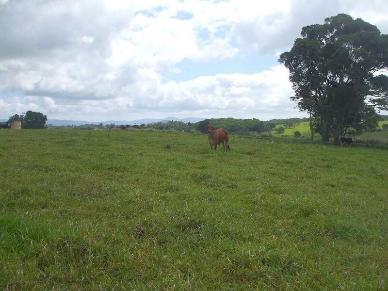 Lake Eacham QLD 4884