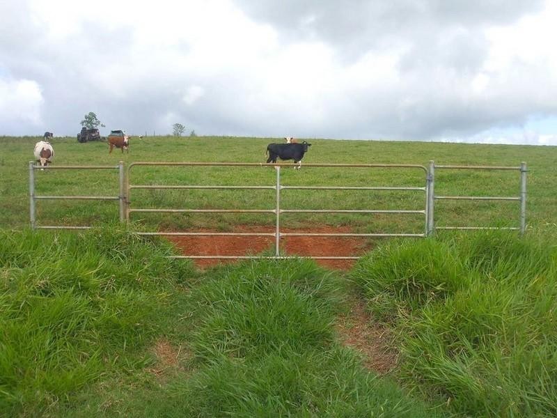 Lake Eacham QLD 4884