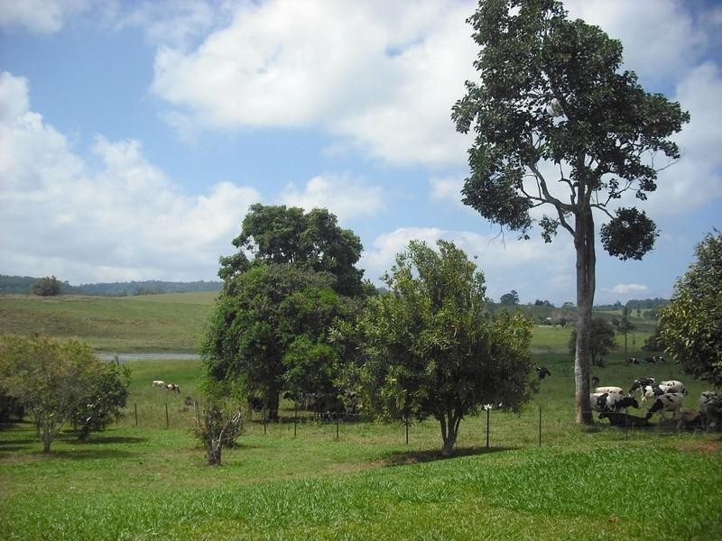Yungaburra QLD 4884