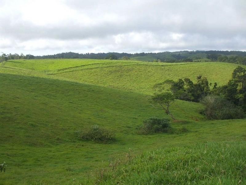 Topaz QLD 4885