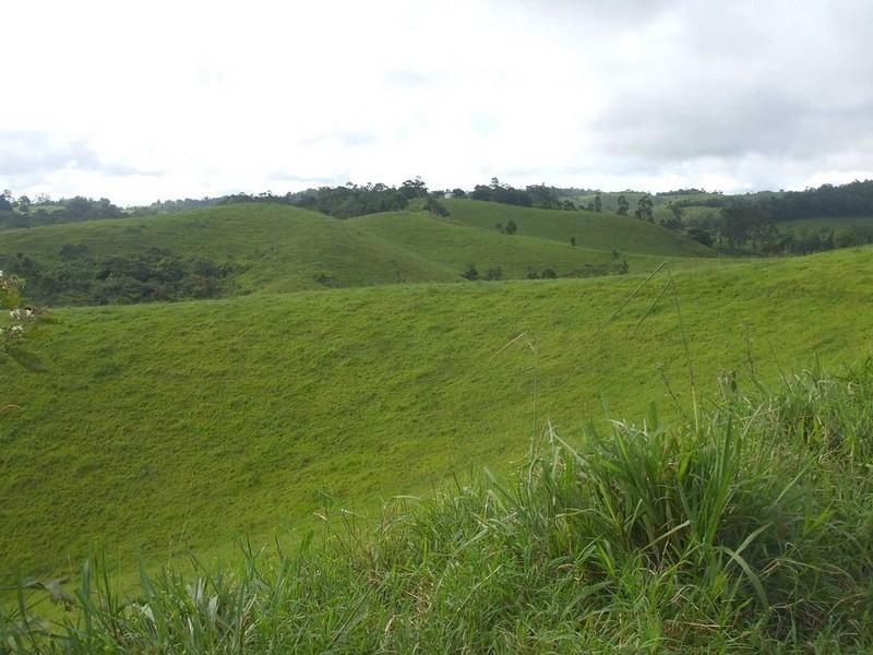 Topaz QLD 4885