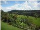 Tarzali QLD 4885