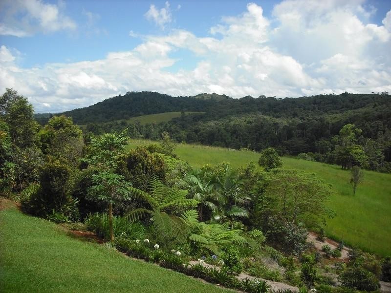 Tarzali QLD 4885