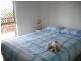 Tarzali QLD 4885