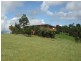 Tarzali QLD 4885