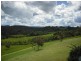 Tarzali QLD 4885