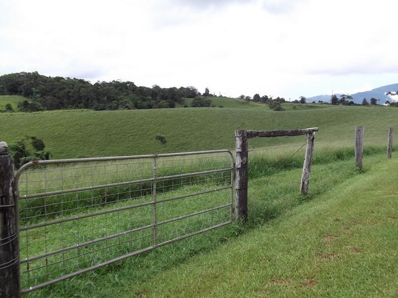 Topaz QLD 4885