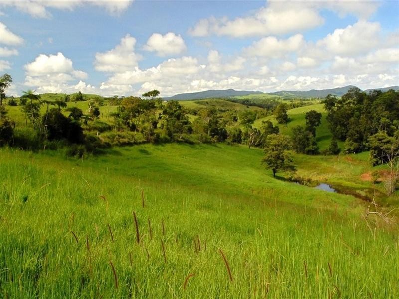 Millaa Millaa QLD 4886