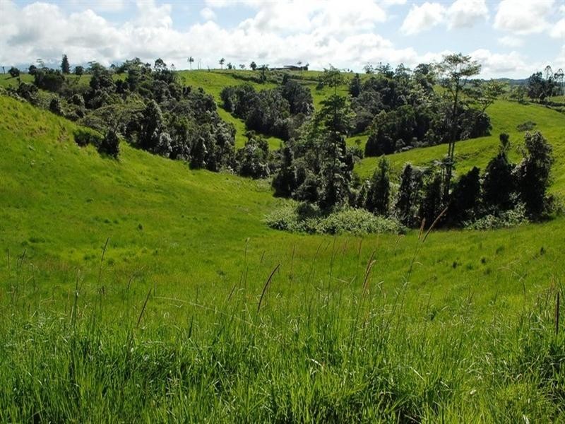 Millaa Millaa QLD 4886