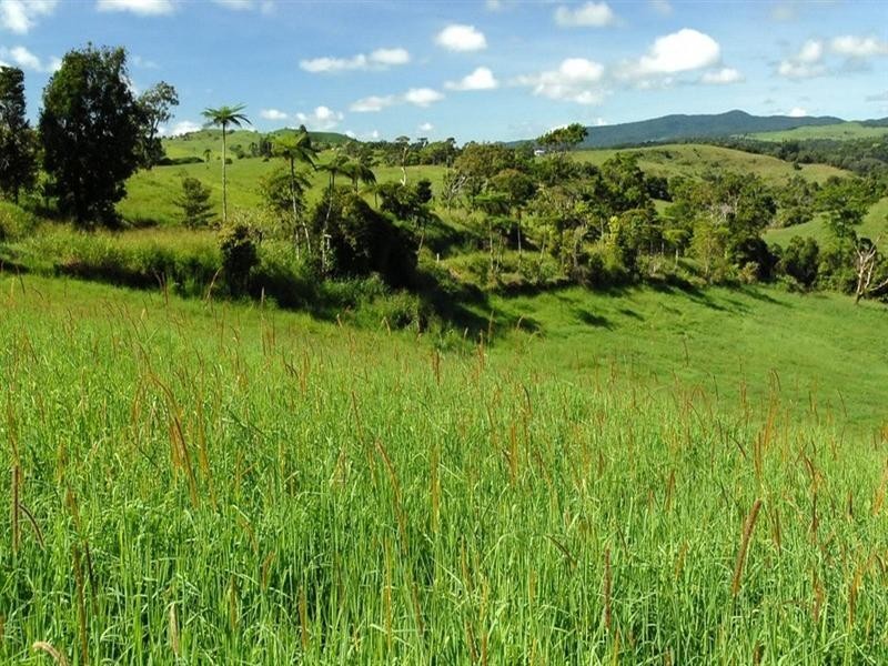 Millaa Millaa QLD 4886