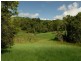 Millaa Millaa QLD 4886