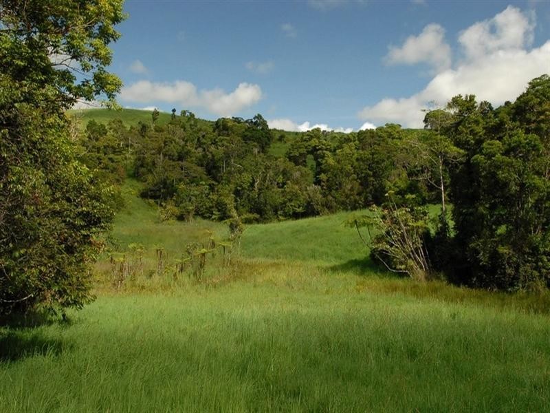 Millaa Millaa QLD 4886