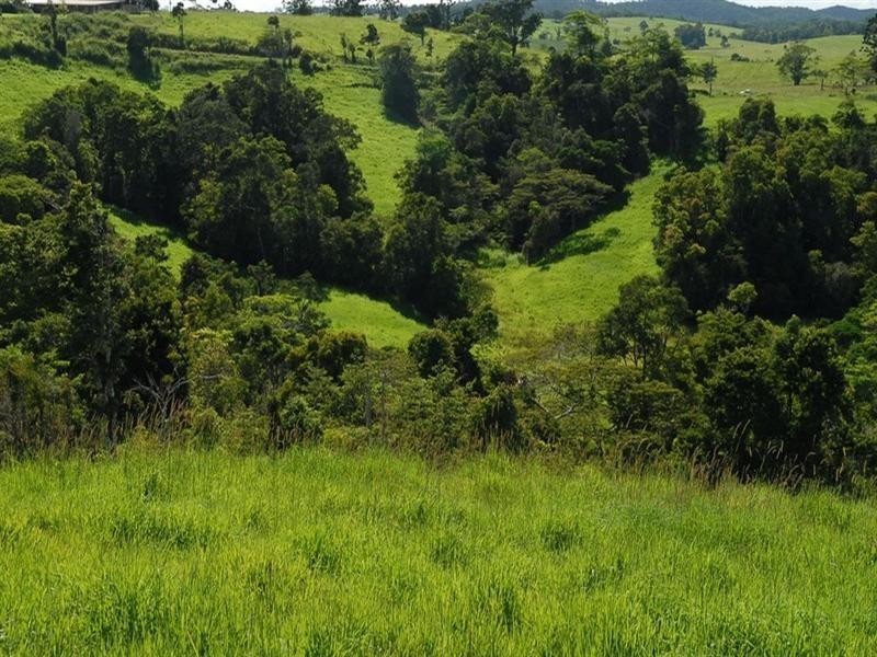Millaa Millaa QLD 4886