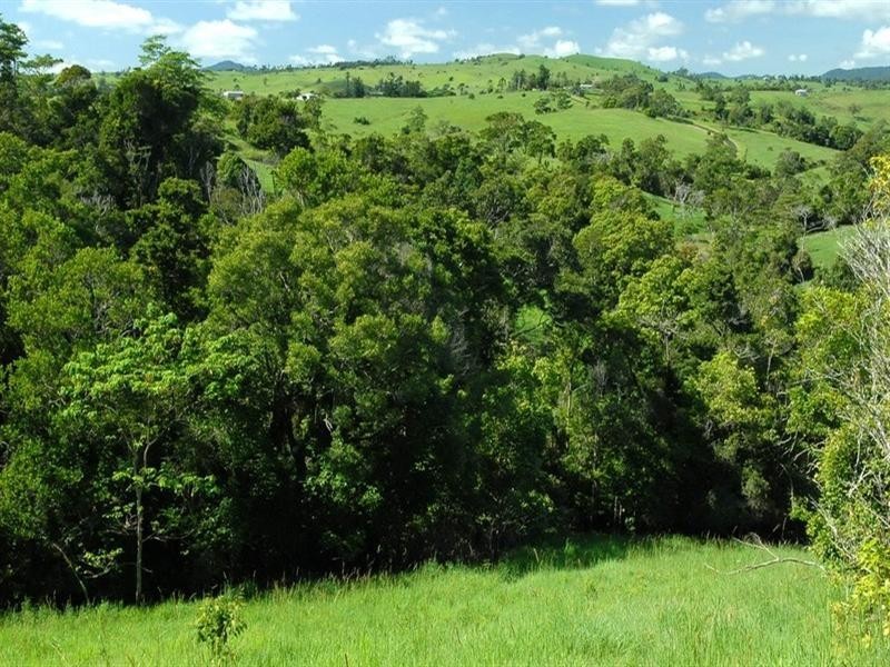 Millaa Millaa QLD 4886