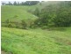 Millaa Millaa QLD 4886