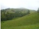 Millaa Millaa QLD 4886