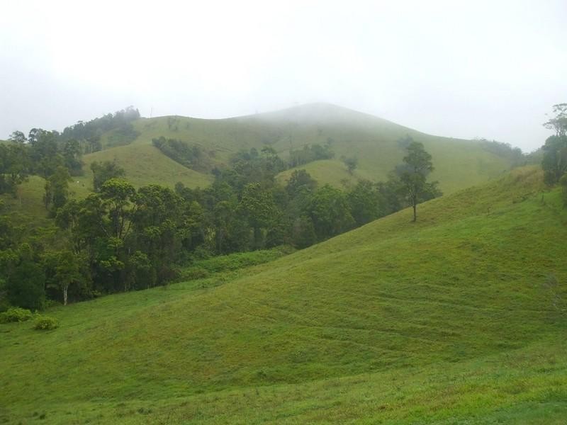 Millaa Millaa QLD 4886