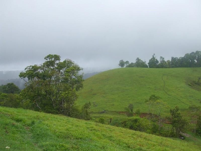Millaa Millaa QLD 4886