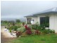 Millaa Millaa QLD 4886