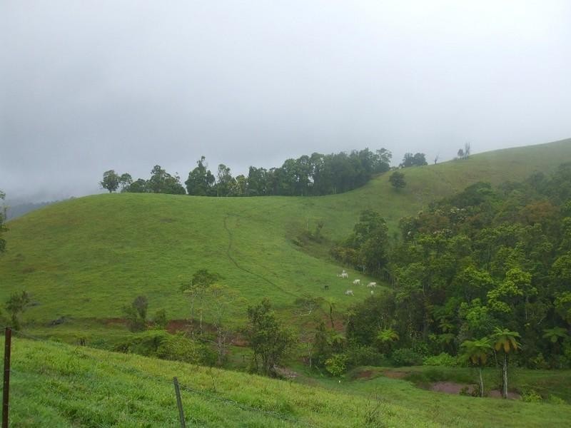 Millaa Millaa QLD 4886