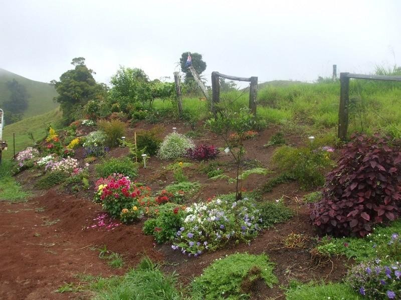 Millaa Millaa QLD 4886