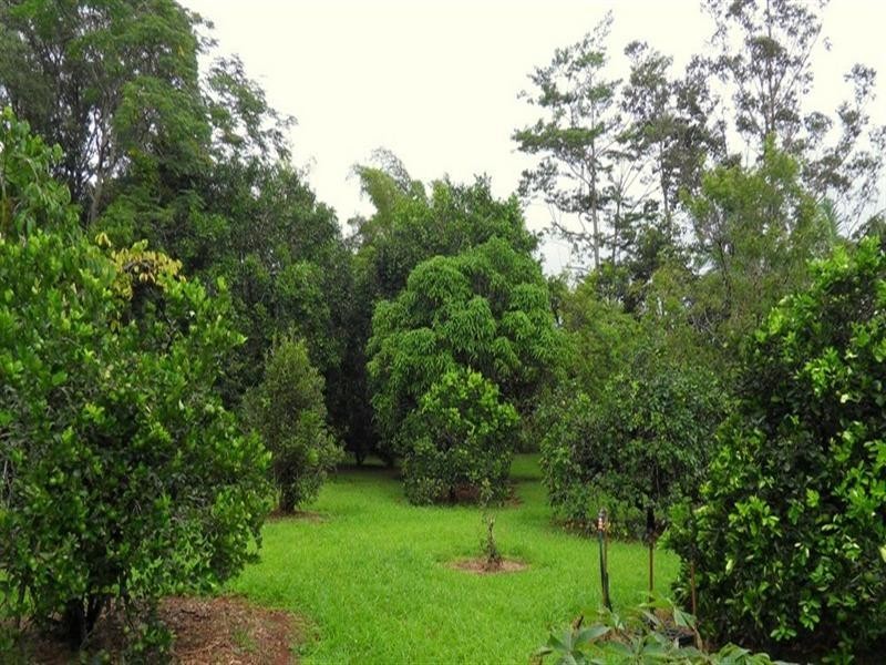Malanda QLD 4885