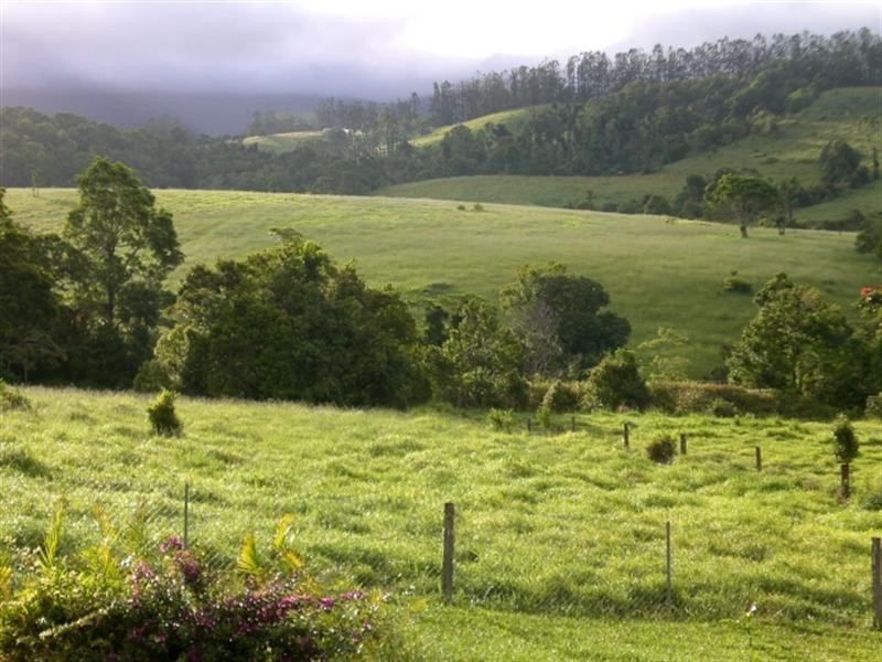 Millaa Millaa QLD 4886