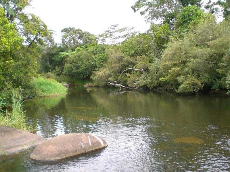 Millaa Millaa QLD 4886