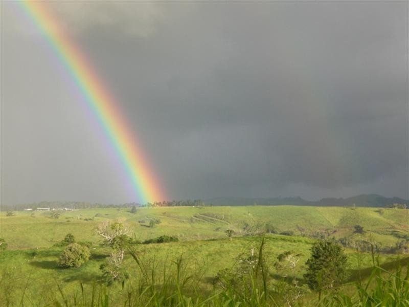 Millaa Millaa QLD 4886