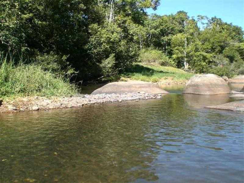 Millaa Millaa QLD 4886