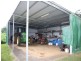 Millaa Millaa QLD 4886