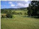Millaa Millaa QLD 4886