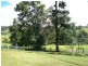 Millaa Millaa QLD 4886