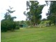 Millaa Millaa QLD 4886