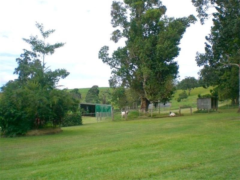 Millaa Millaa QLD 4886