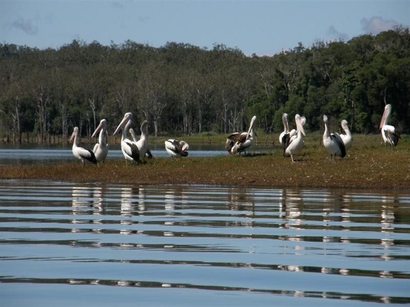 Lake Tinaroo QLD 4872