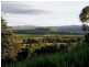 Lake Tinaroo QLD 4872