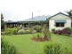 Yungaburra QLD 4884