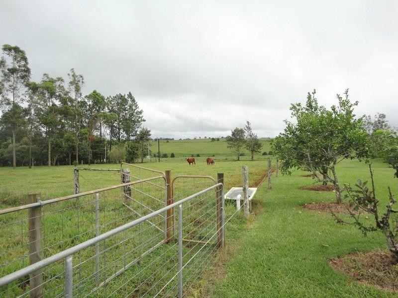 Yungaburra QLD 4884