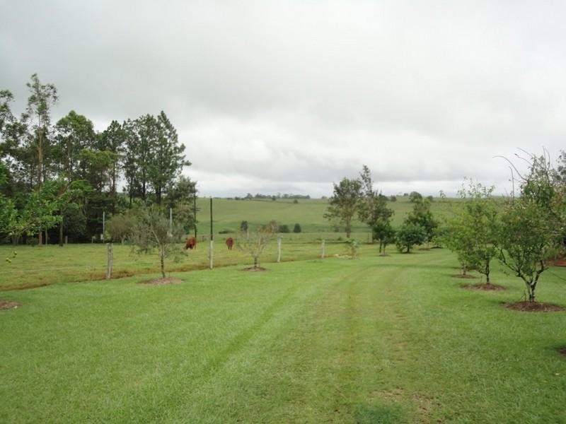Yungaburra QLD 4884