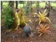 Malanda QLD 4885