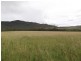 Dimbulah QLD 4872