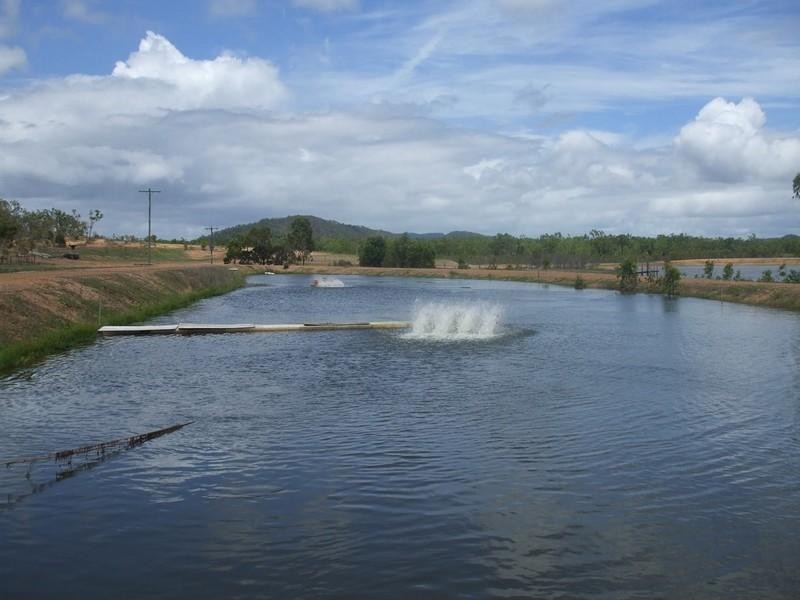 Lakeland QLD 4871