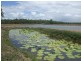 Lakeland QLD 4871